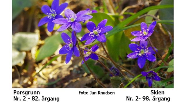 Felles Menighetsblad Grenland